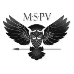 SEO-Expert's Client MSPV